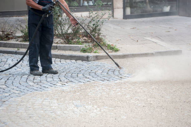 Best Fence Cleaning  in Lantana, FL