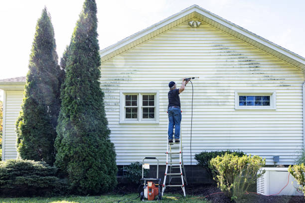 Best Patio and Deck Pressure Washing  in Lantana, FL